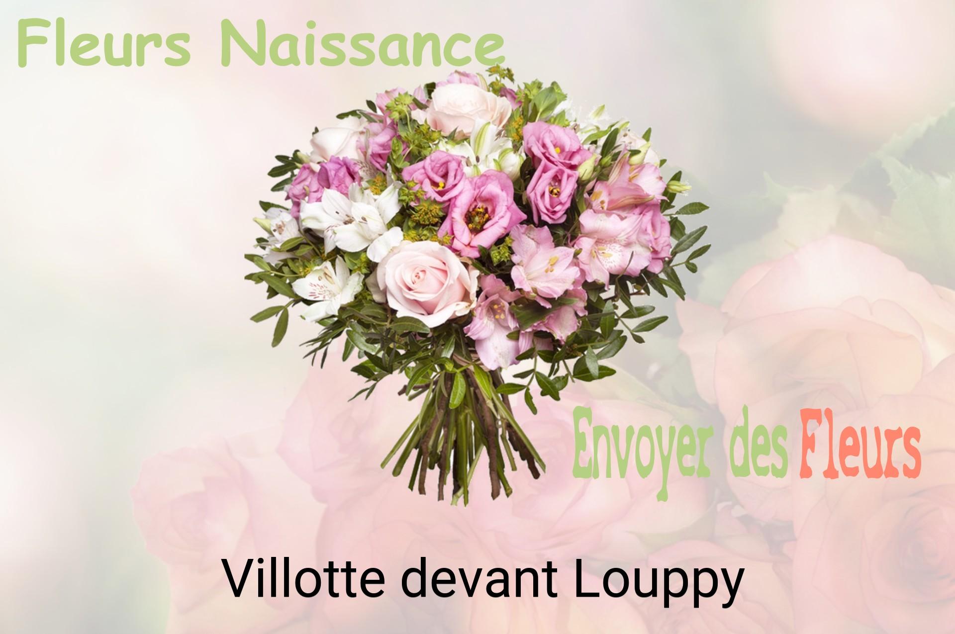 Bouquet de fleurs de naissance livré à Villotte-devant-Louppy