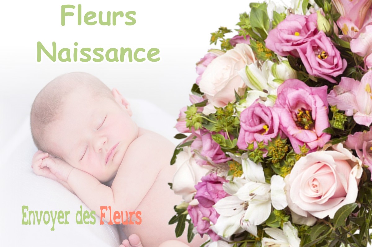 lIVRAISON FLEURS NAISSANCE à VILLOTTE-DEVANT-LOUPPY